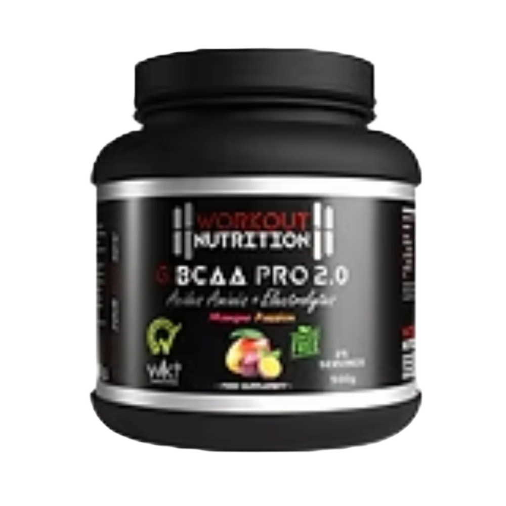 GBCAA PRO 500g + Electrolytes